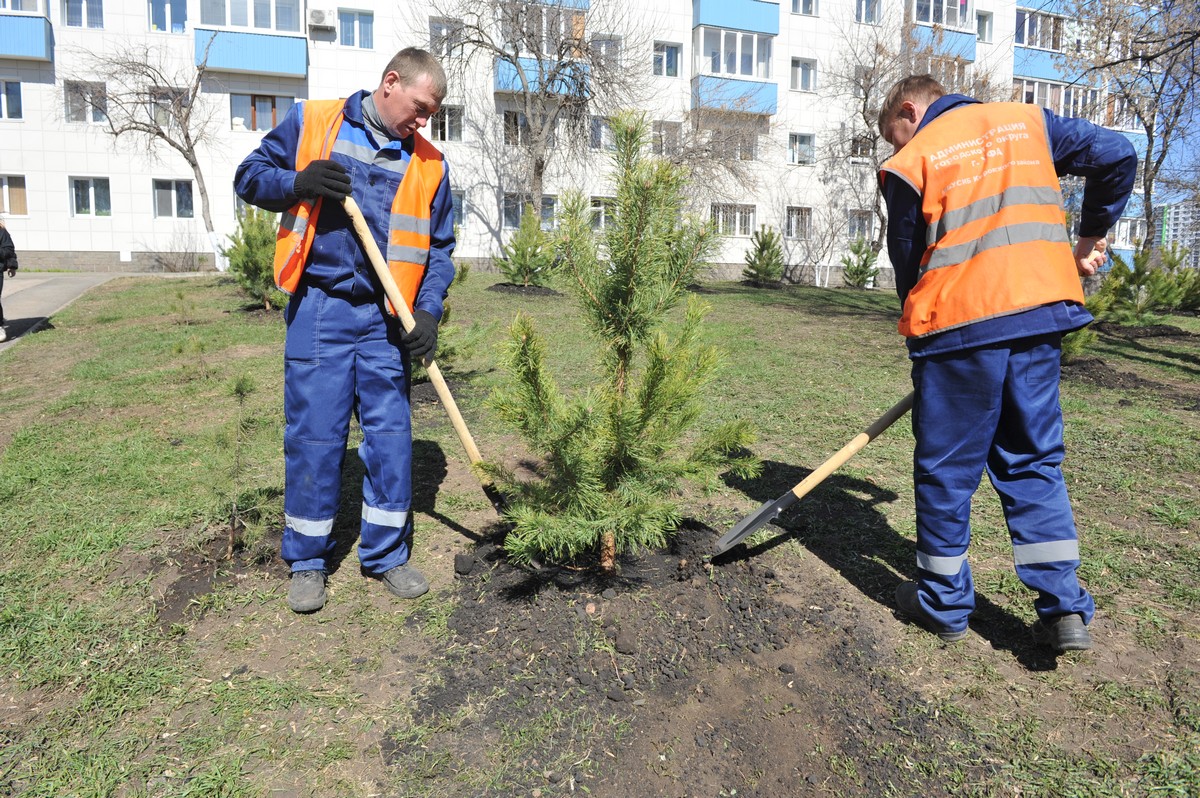 Будут новые аллеи