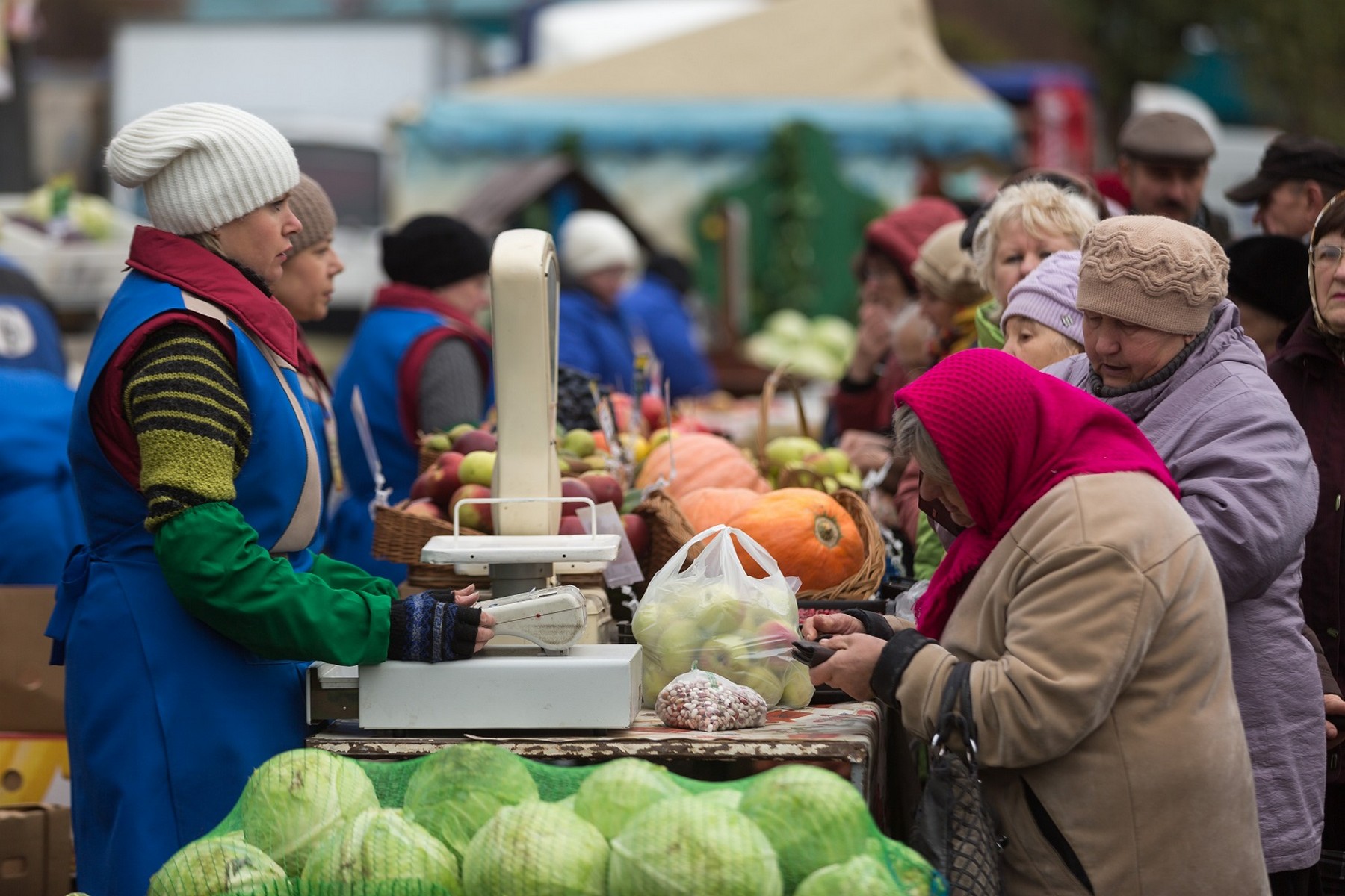 Виды на урожай