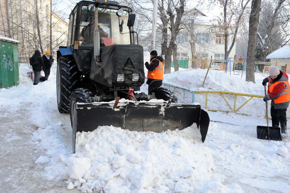 Им не страшны снег и лед