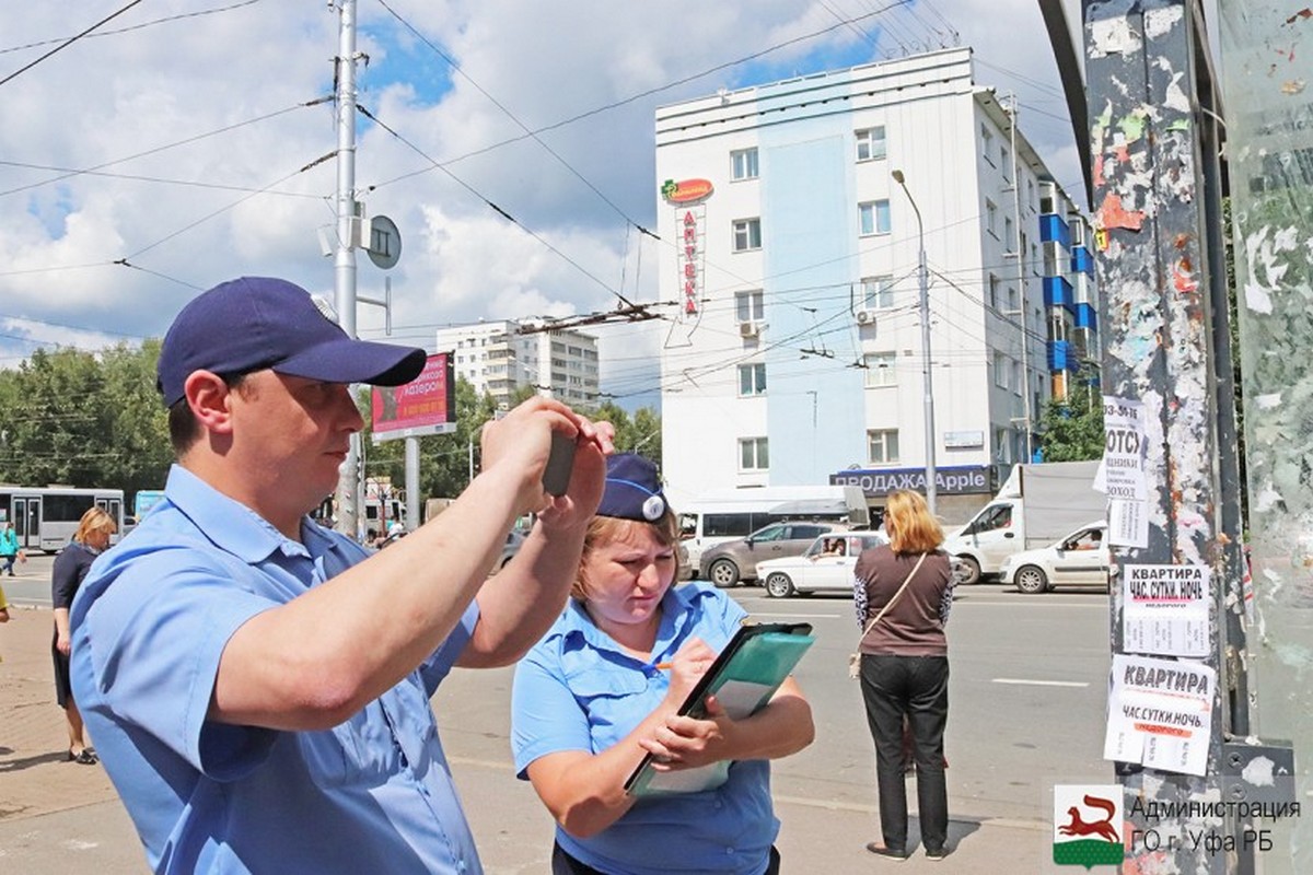 Звенит, гудит «Автодозвон». к порядку призывает он!