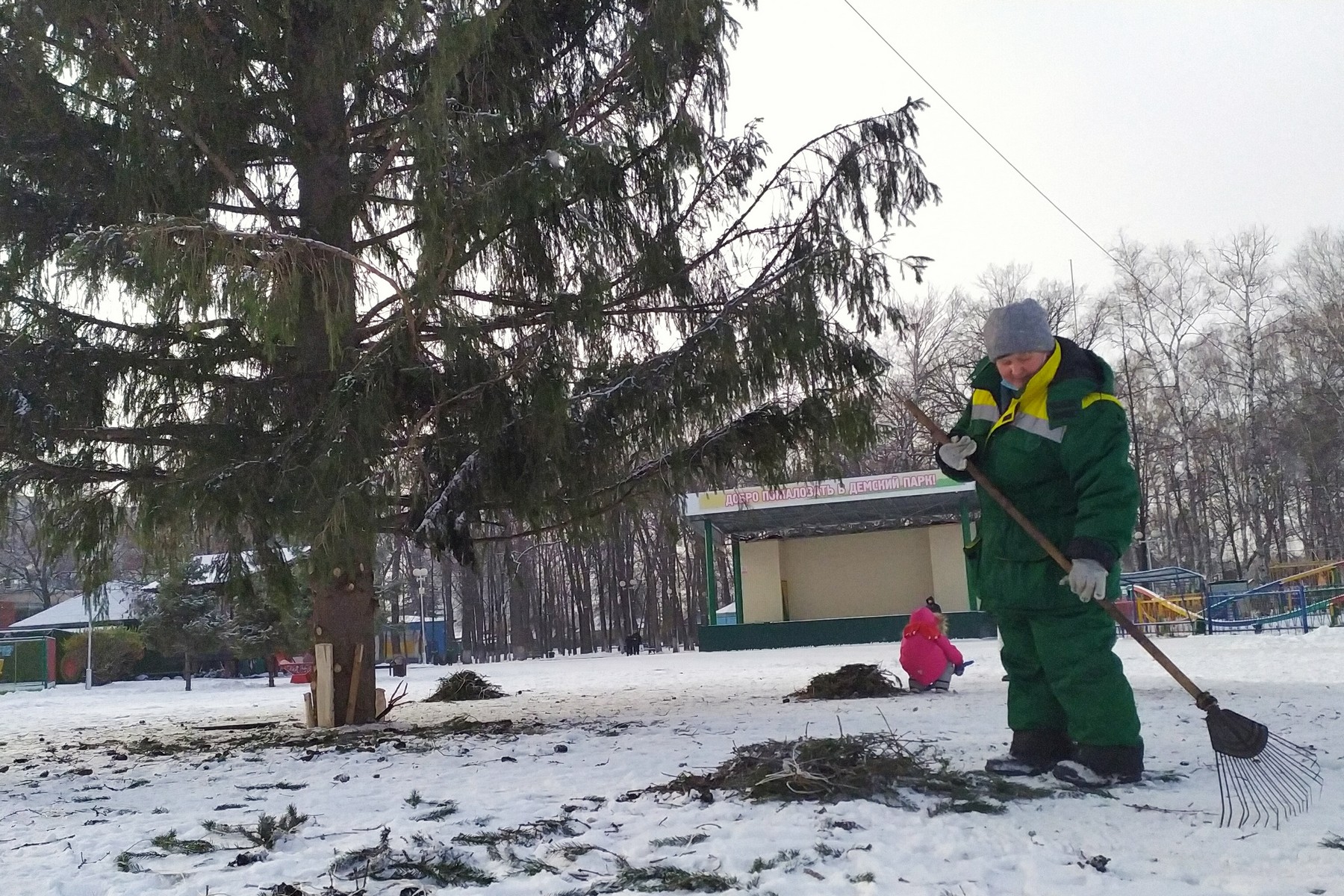 В лесу родилась елочка…