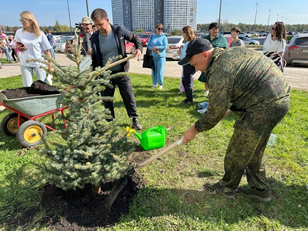 Семейная аллея золотой осенью